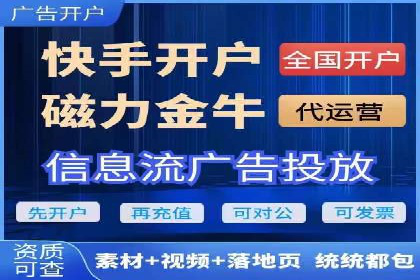 百度广告投放技巧及效果评估案例